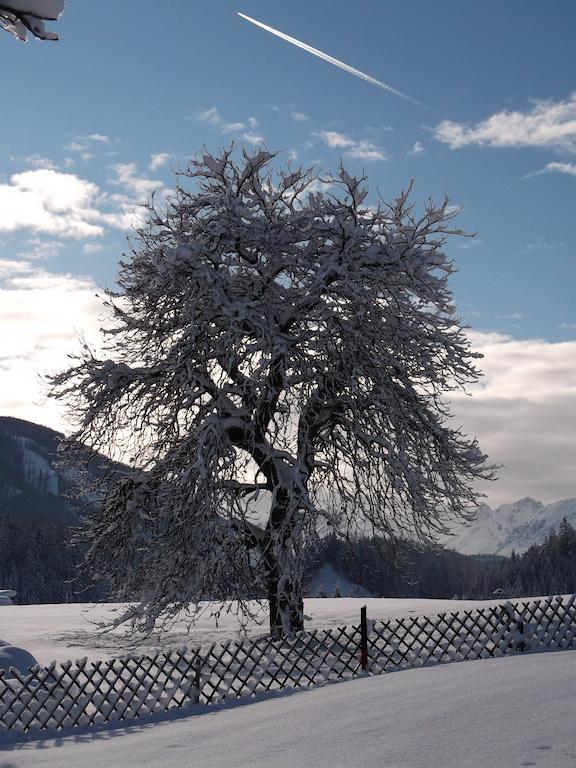 Vila Anno Tyrol Biberwier Exteriér fotografie
